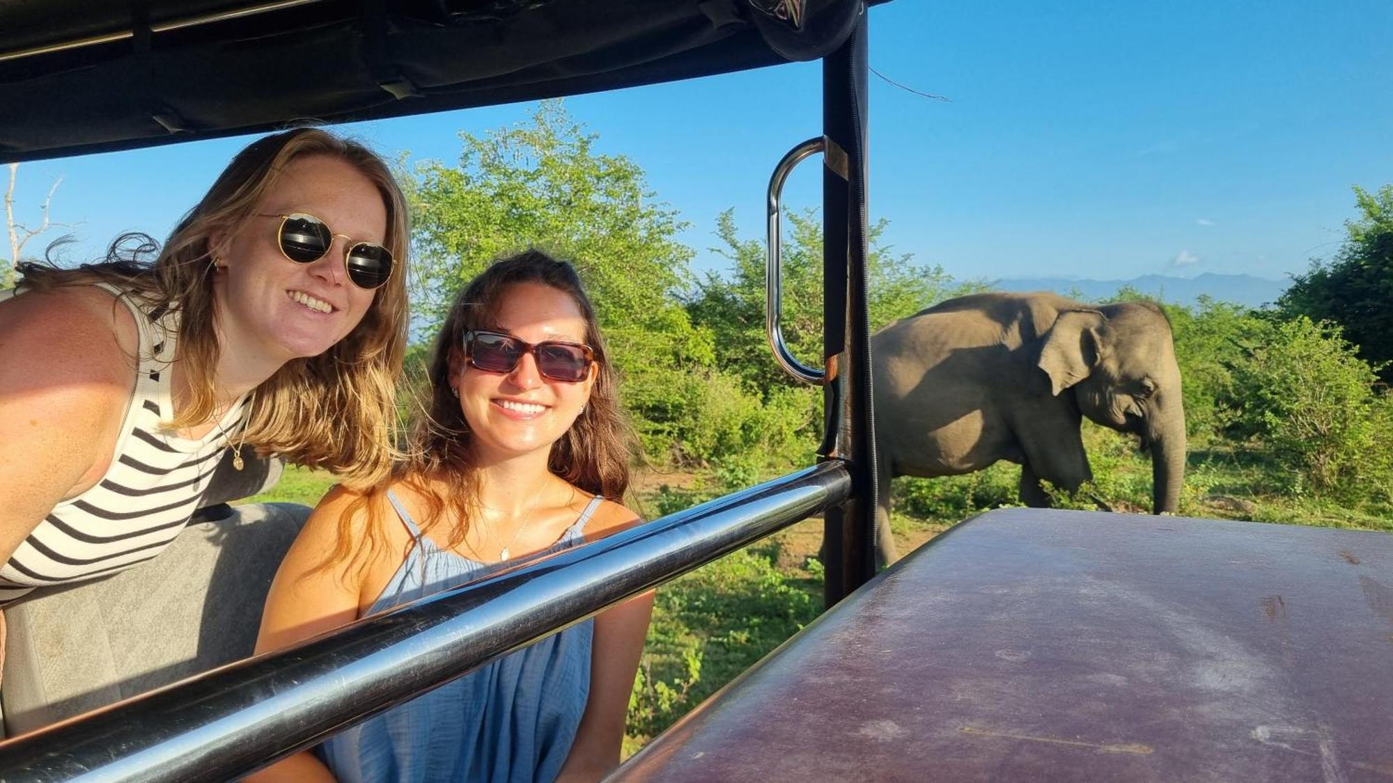 White Rose Safari Home Stay Удавалаве Экстерьер фото