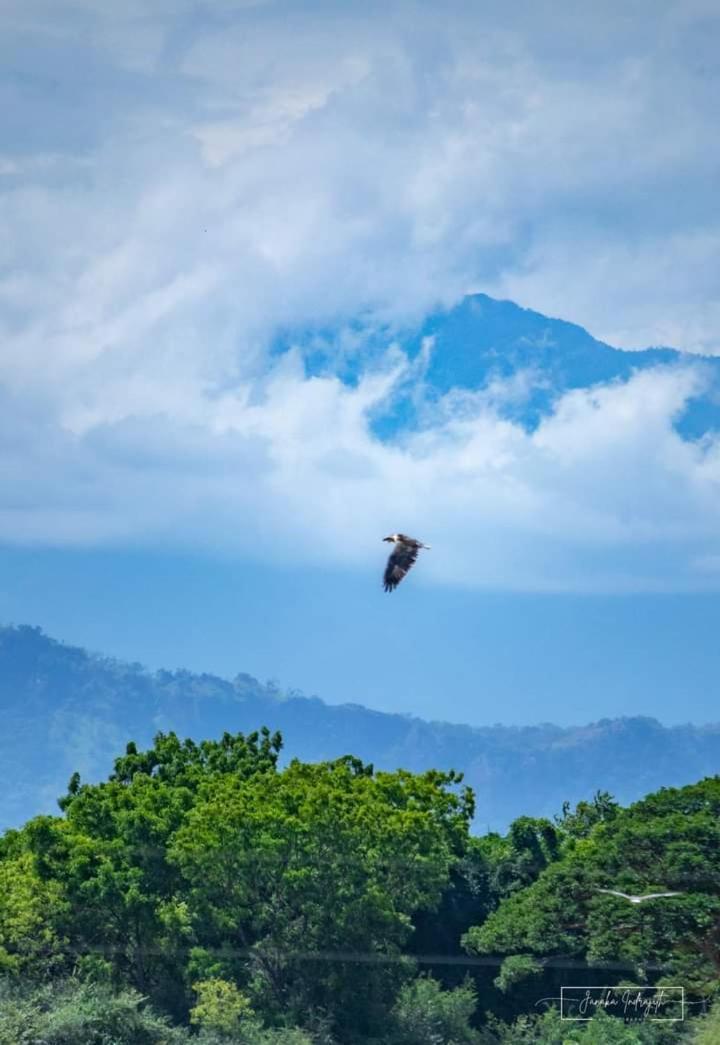 White Rose Safari Home Stay Удавалаве Экстерьер фото