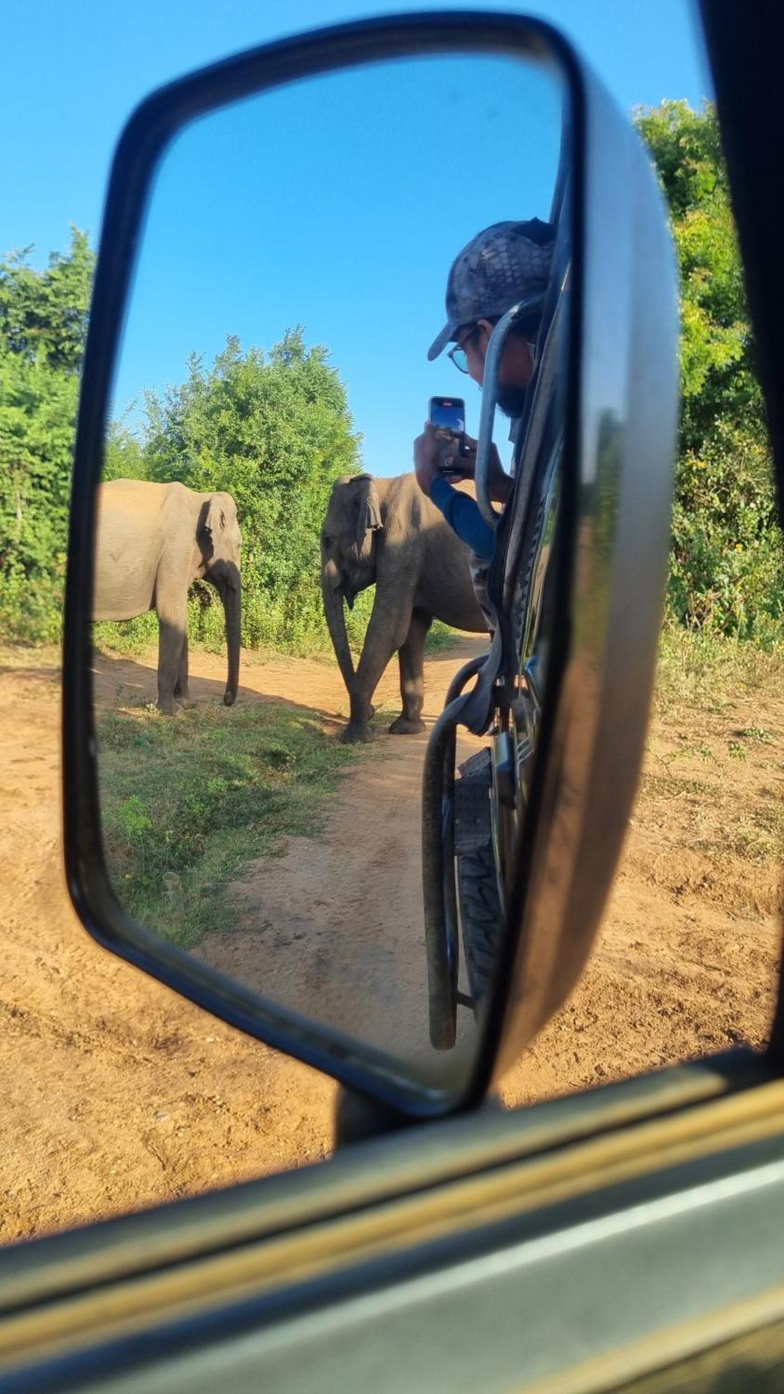 White Rose Safari Home Stay Удавалаве Экстерьер фото